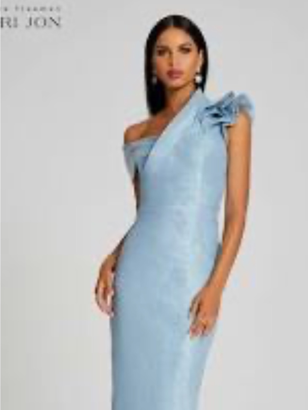 NWT Rickie Freeman for Teri Jon Gown Sz 10 - Picture 1 of 5
